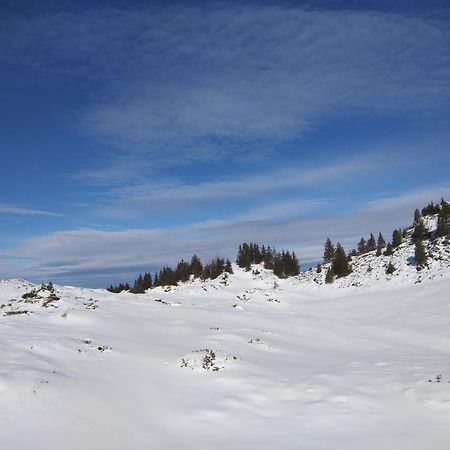 Le Chalet Theys Esterno foto