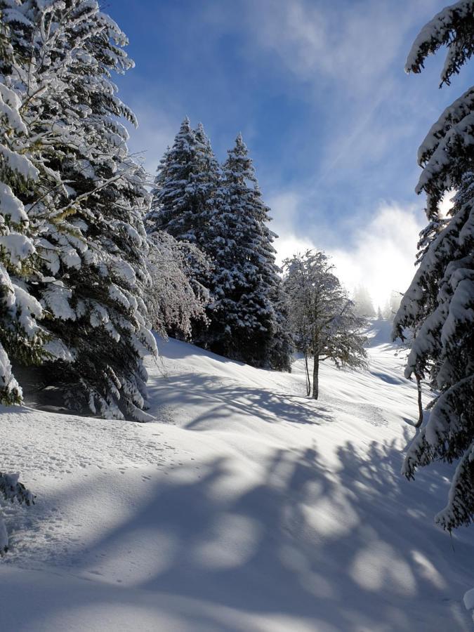 Le Chalet Theys Esterno foto