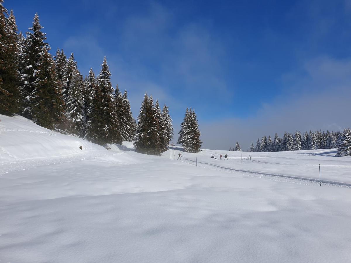 Le Chalet Theys Esterno foto